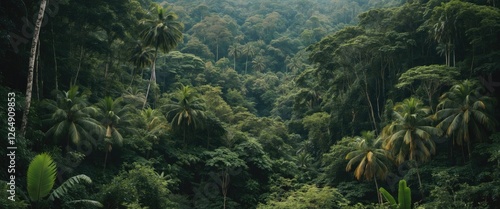 Fototapeta Naklejka Na Ścianę i Meble -  Lush tropical rainforest landscape with dense greenery and palm trees natural setting with tall trees and undergrowth Copy Space