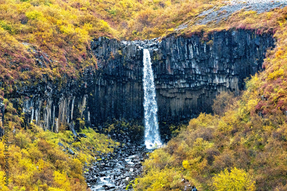Fototapeta premium Svartifoss Iceland