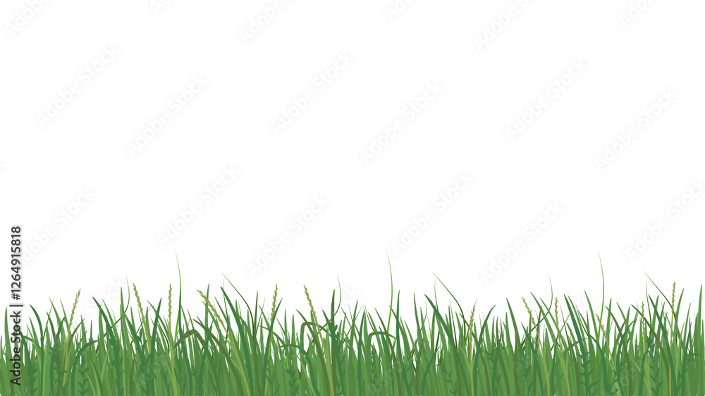 Green grass is isolated on a transparent background. Green grass is isolated on a transparent background.