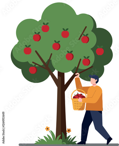 Man harvesting apples from a tree in flat vector illustration