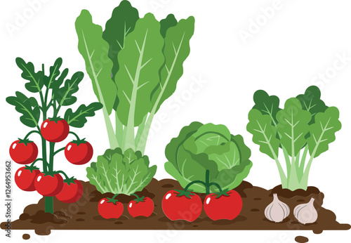 Fresh vegetables growing in a garden, flat vector illustration