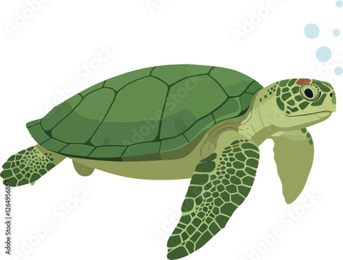 Green sea turtle swimming gracefully in flat vector art style vector illustration