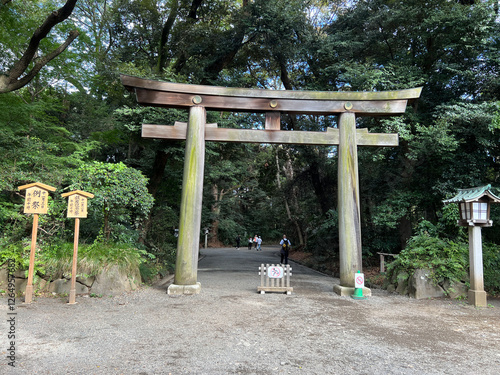 Obraz na płótnie Meiji Jingu Shinto shrine in Shibuya w salonie