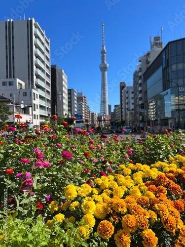Skytree seen from the road next to  the Sumida river in Tokyo