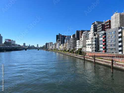 Obraz na płótnie The Sumida river in Tokyo, w salonie