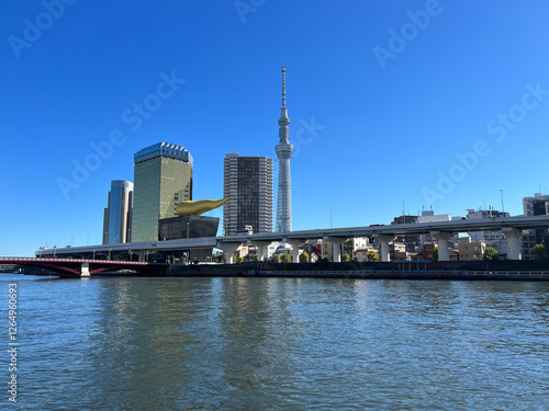 Obraz na płótnie The Sumida river in Tokyo w salonie