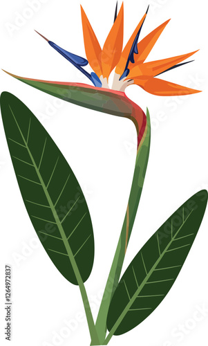 Vibrant bird of paradise flower illustration in flat design style showcasing vivid colors and natural shapes in vector art