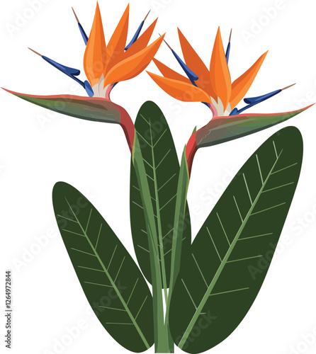 Vibrant bird of paradise flowers in flat design style showcasing intricate details and bold colors in vector art