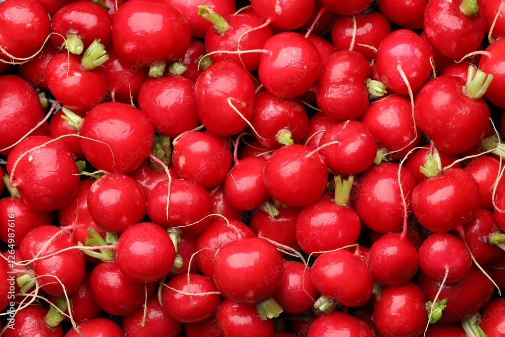 Many fresh radishes as background, top view Many fresh radishes as background, top view