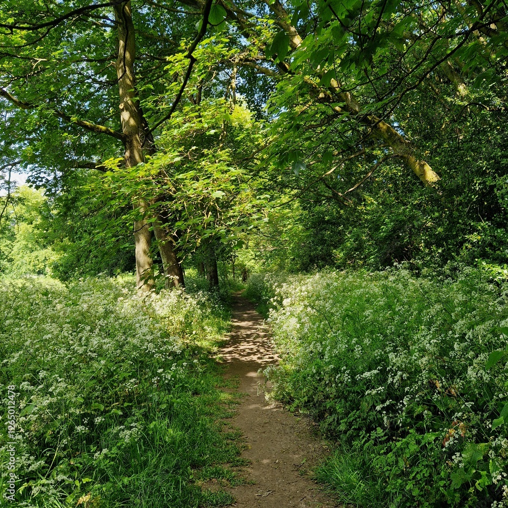 path in the park path in the park