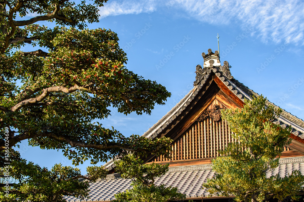 Old Japanese Tokugawa Shogun residence of Nijo castle in Kyoto city, Japan Old Japanese Tokugawa Shogun residence of Nijo castle in Kyoto city, Japan