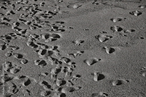 Footprints in the sea sand