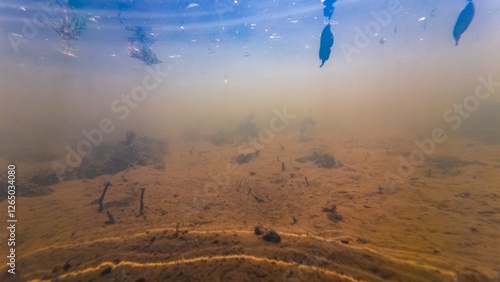 Fotografie silt sediment substrate, cyanobacteria green algae bloom underwater ecology thre
