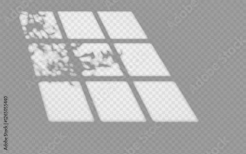 Light effect shadow overlay from window frame with tree branch isolated transparent background.