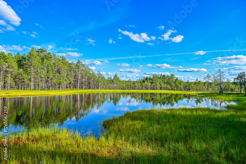 idyllischer See Viru raba ujumiskoht mit Spiegelung des Himmels im Viru bog nature trail through the Viru bog in Lahemaa National Park (Lahemaa rahvuspark) in northern Estonia