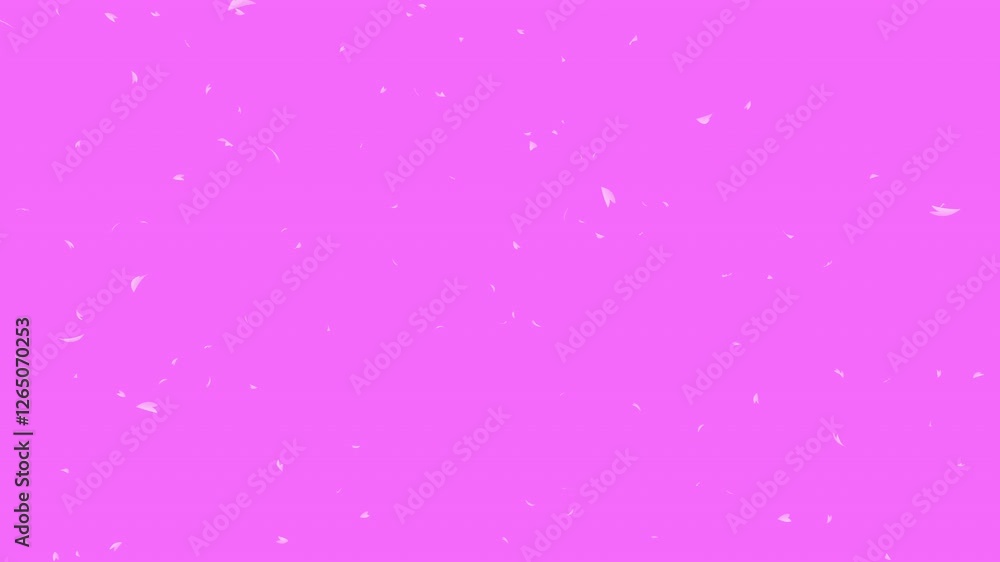 Some pink cherry petals falling sideways slowly from left to right on pink background. Abstract background with a scene of Spring time in Japan. Some pink cherry petals falling sideways slowly from left to right on pink background. Abstract background with a scene of Spring time in Japan.