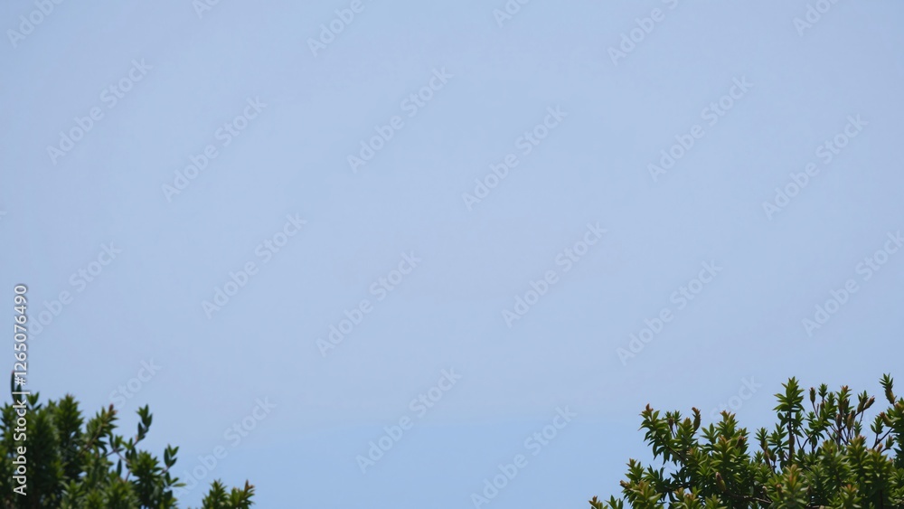 Serene Blue Sky with Lush Green Foliage Frame Serene Blue Sky with Lush Green Foliage Frame