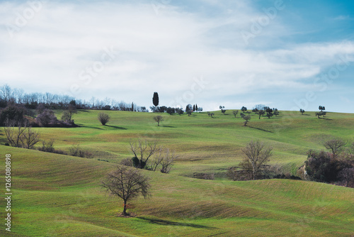 Slika na platnu Landscape of Tuscany Italy