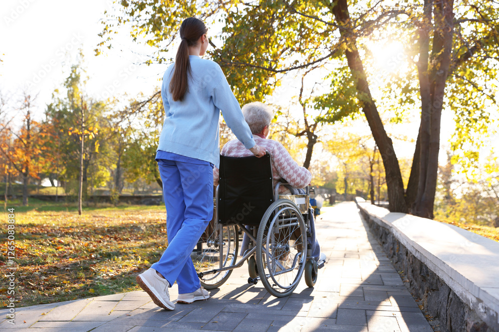 Caregiver with elderly woman in wheelchair at park, back view Caregiver with elderly woman in wheelchair at park, back view