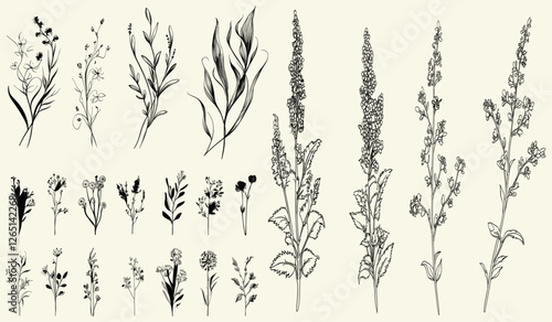 Stylized black line art of wild agrimony for boho wedding invitations and logos, trendy greenery, wildflower collection, feminine botanical branch, perfect for eco-conscious branding