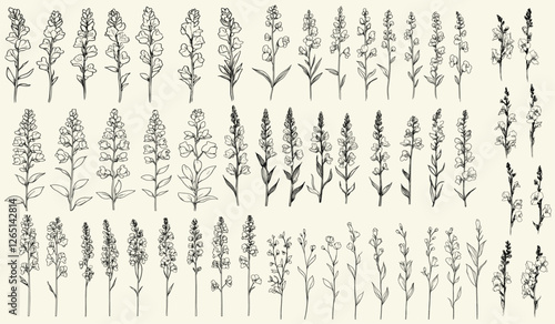 Feminine botanical floral branch of snapdragon flowers for wedding logos, hand drawn rustic greenery, trendy wedding herbs for modern branding, elegant floral design, custom wedding logos