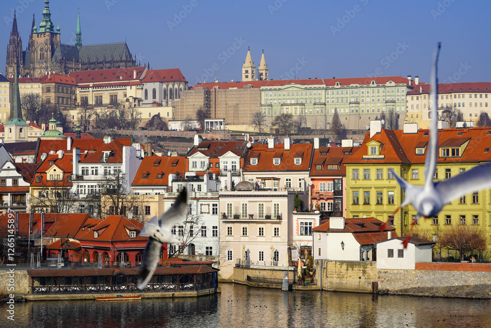 Fototapeta premium A seagull flies in front of a scenic view of buildings with red roofs, the Prague Castle towering in the background