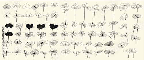Cuadro en lienzo Feminine botanical floral branch with hand-drawn anthurium flowers, trendy green