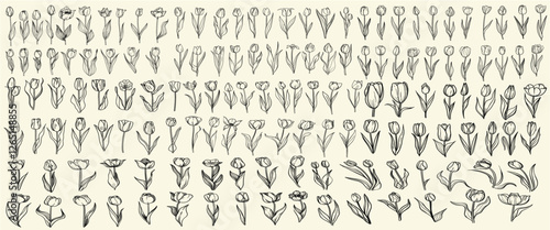 Set of tulip flowers in black line art for logo design, minimalist branding, floral vector for home decor, elegant greenery, botanical collection, wedding herbs, plant illustrations, floral logo.