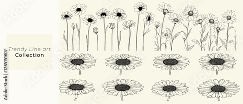 Set of hand-drawn daisy flowers in black line art, botanical vector illustrations for wedding invitations, rustic trendy greenery for modern stationery, floral elements, floral designs