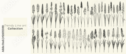 Minimalist black line art of wild hyacinth flowers, perfect for rustic decor, chic wedding designs, boho-themed branding, trendy greenery, feminine botanical floral branch, wildflower collection