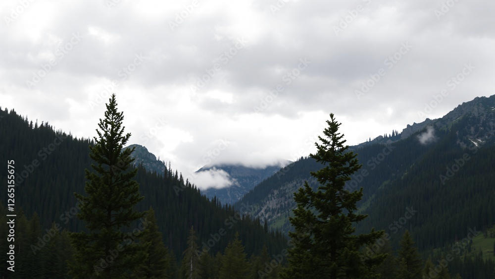 Majestic Mountain Range with Evergreen Trees under Cloudy Sky Majestic Mountain Range with Evergreen Trees under Cloudy Sky