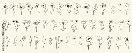 Minimalist black line art poppies for boho-themed decor, chic wedding designs, rustic invitations, trendy greenery, feminine botanical floral branch, wildflower collection, eco-conscious branding,