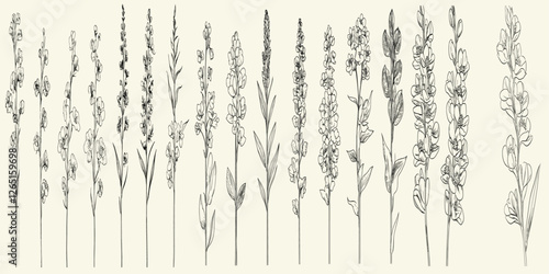 Feminine botanical collection, hand-drawn delphinium flowers, rustic greenery for logo branding, trendy wedding herbs, minimalist black line art for invitations, floral design.