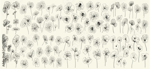 Feminine botanical nasturtium flowers in intricate black line art, ideal for elegant wedding designs, vintage invitations, trendy greenery decor, and classic branding ideas.