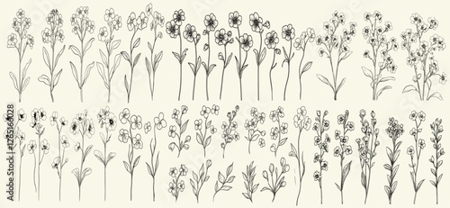 Feminine botanical wildflower collection with chic greenery for wedding stationery, rustic decor, eco-conscious branding, black line art of wild forget-me-not, perfect for logos.