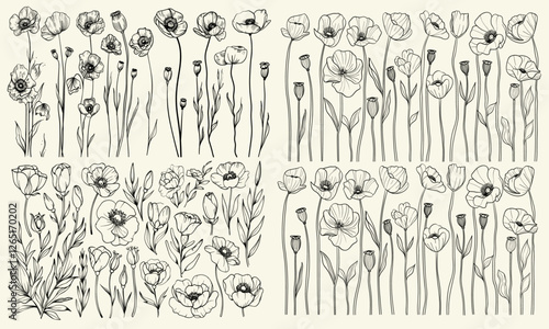 Minimalist floral collection, hand-drawn botanical elements, rustic greenery set for event branding, Black line art of poppies in bloom for wedding design projects, feminine style, floral arrangements