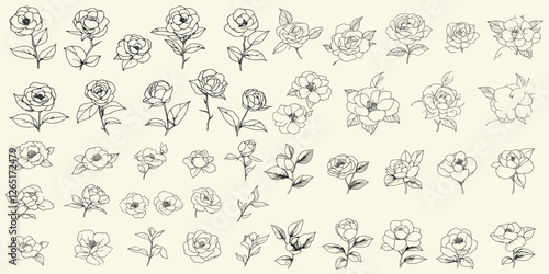 Hand-drawn camellia flowers line art, rustic greenery, botanical floral branch for minimalist wedding branding, feminine herb collection, wedding design ideas, floral elements, wedding decor.