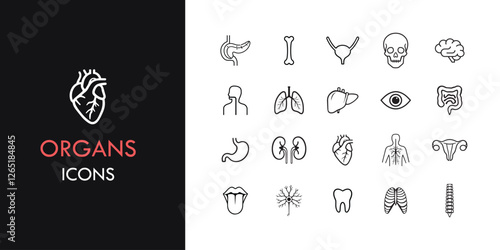 Organ line icon set, outline web icon collection containing heart, lungs , liver, and more, Vector illustration in line style 