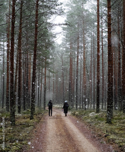 Two persons in snowfall in green pine forest with a curved road disappearing inthe trees vertical