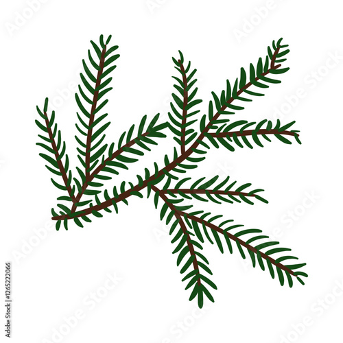 branch of the Christmas tree. Evergreen tree. Spruce. cedar twig. An illustration. Winter plants. Christmas tree. Festive. Natural diverse branches. Isolated decor for decoration. Hand-drawn