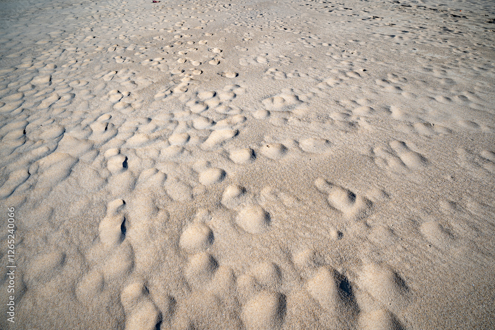 Top view of Fine sand texture natural background Summer and travel background, High quality nature beach background Top view of Fine sand texture natural background Summer and travel background, High quality nature beach background