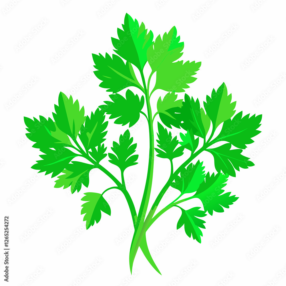 Naklejka premium parsley isolated