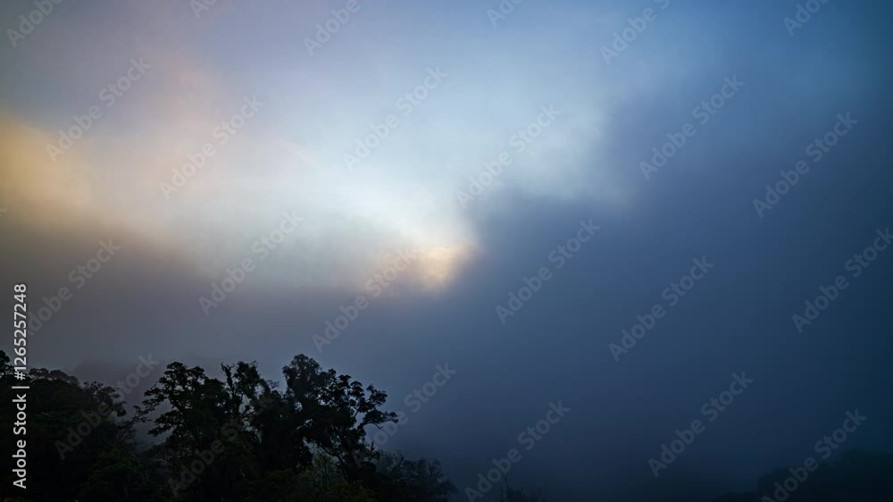 The sun sets behind a dense forest, casting a golden glow through billowing clouds and mist. This captivating scene blends warm and cool tones, creating a dramatic and serene natural landscape.
The sun sets behind a dense forest, casting a golden glow through billowing clouds and mist. This captivating scene blends warm and cool tones, creating a dramatic and serene natural landscape.