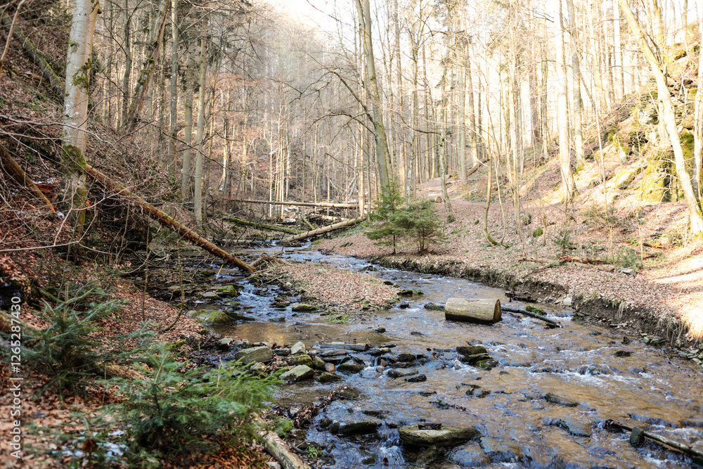 Streaming water in a forest in winter. Landscape. Streaming water in a forest in winter. Landscape.