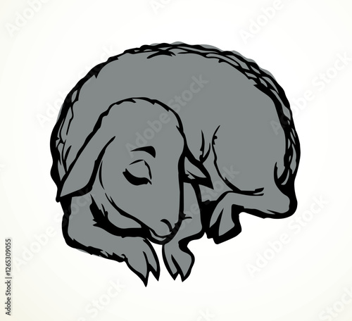 Vector drawing. Small sheep lay to sleap