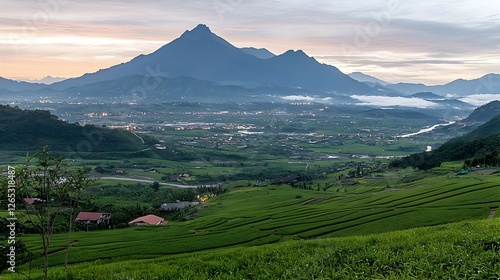 Wallpaper Mural Misty Valley At Dawn With Green Fields And Mountain Torontodigital.ca