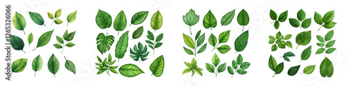 Vibrant Collection of Fresh Green Leaves for Creative Projects
