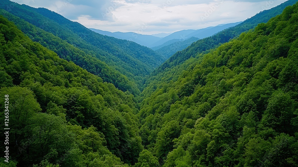 Obraz premium Serene Green Mountain Valley with Lush Trees Under Cloudy Sky Surrounded by Rolling Hills and Majestic Peaks
