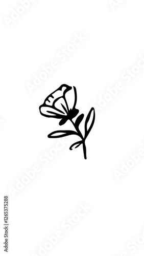 rosa dibujo 