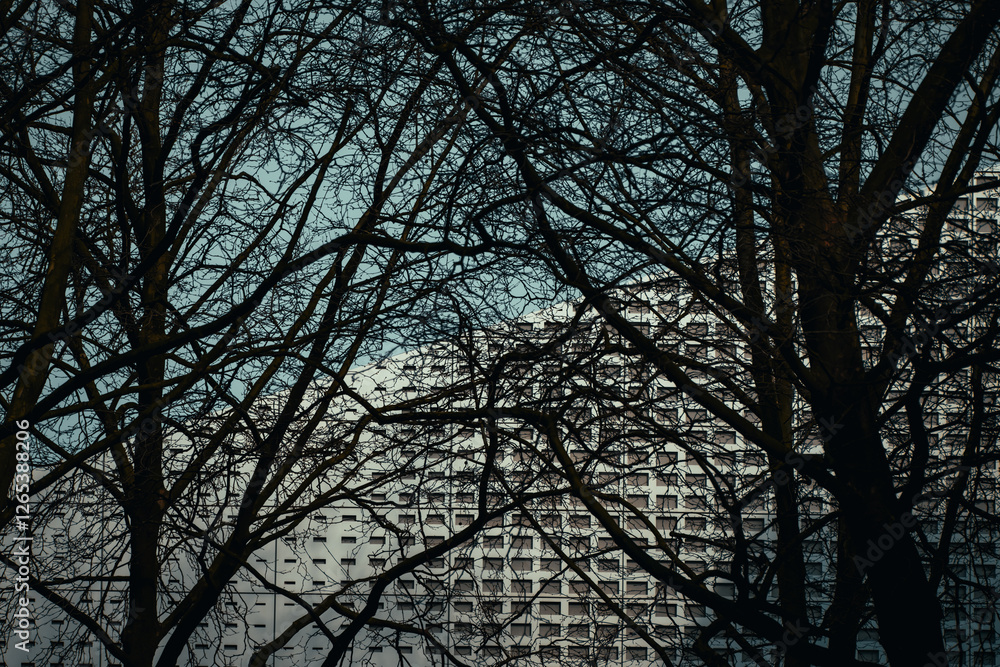 Blick durch Geäst auf ein großes Haus Blick durch Geäst auf ein großes Haus